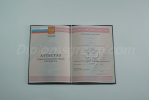 Аттестат 11 классов 2010-2013